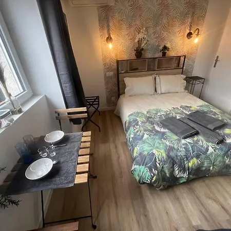 Apartment Verdi Cosy Au Calme Parking Gratuit *
